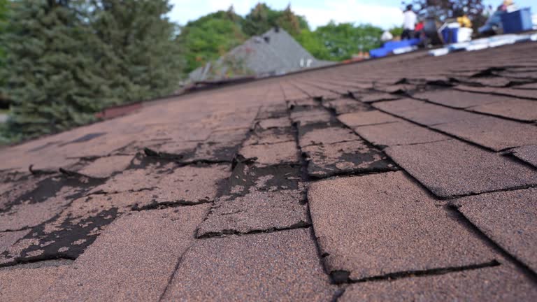 Best Chimney Flashing Repair  in Park Hills, KY