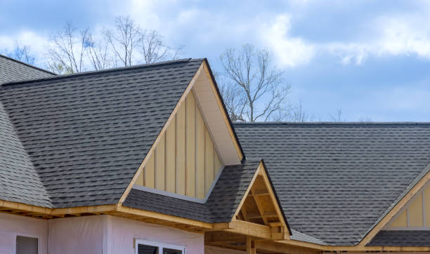 Best Roof Insulation Installation  in Park Hills, KY