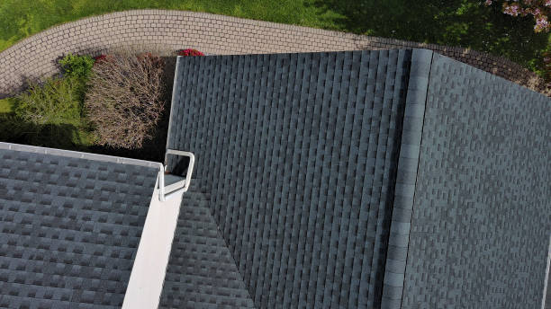 Best Roof Moss and Algae Removal  in Park Hills, KY